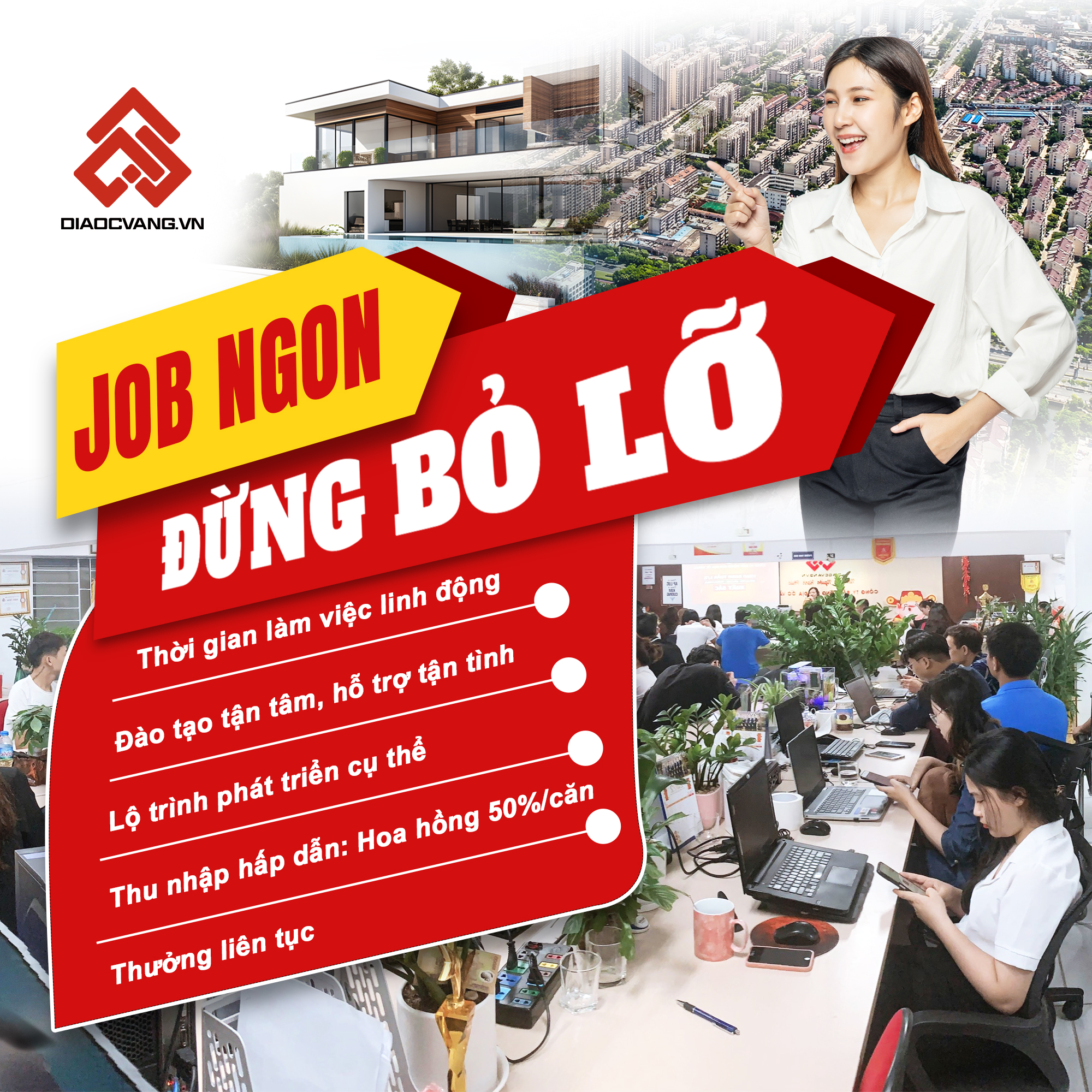 lĩnh vực hoạt động